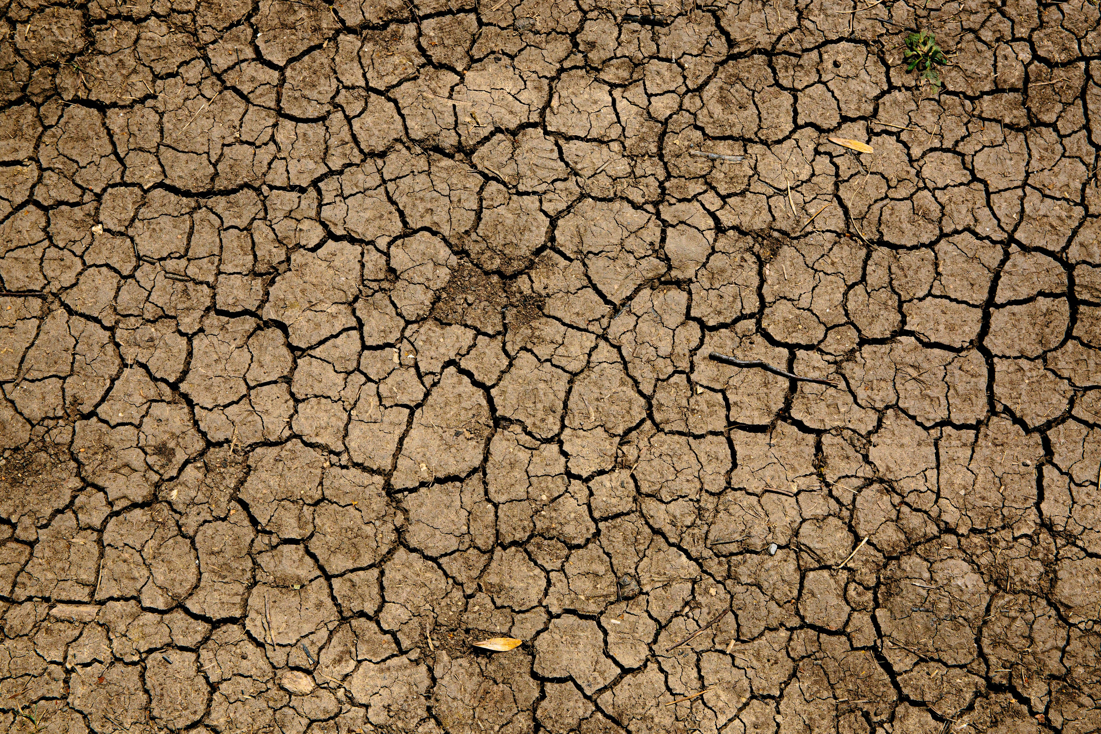 An arial shot of a dried up river